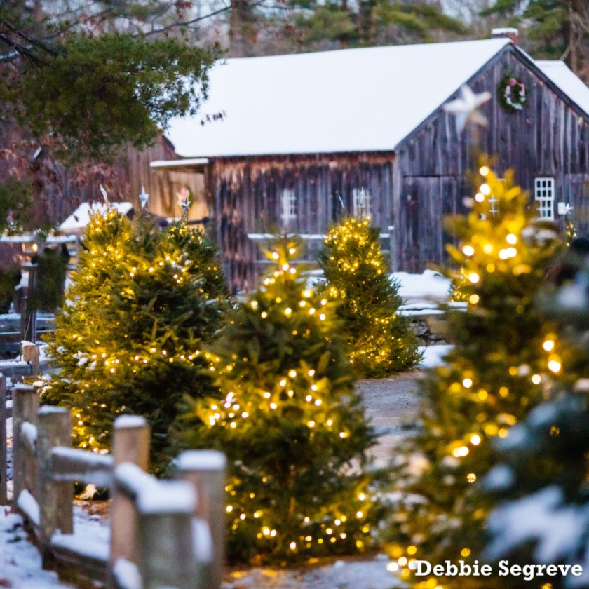 Old Sturbridge Village, Christmas by Candlelight Western Mass Arts Events